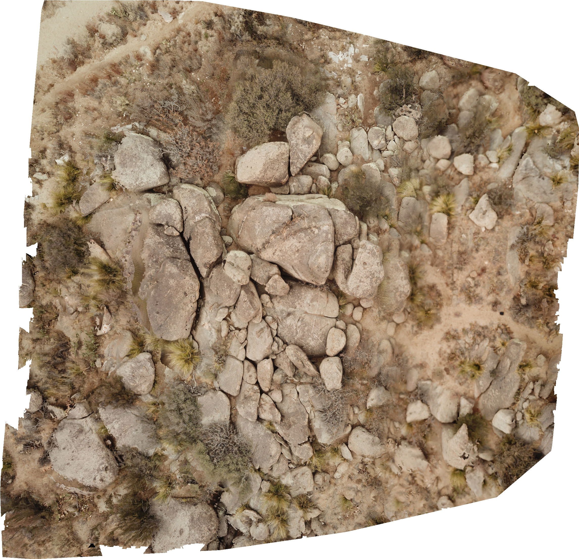 Orthomosaic of large granite rocks.